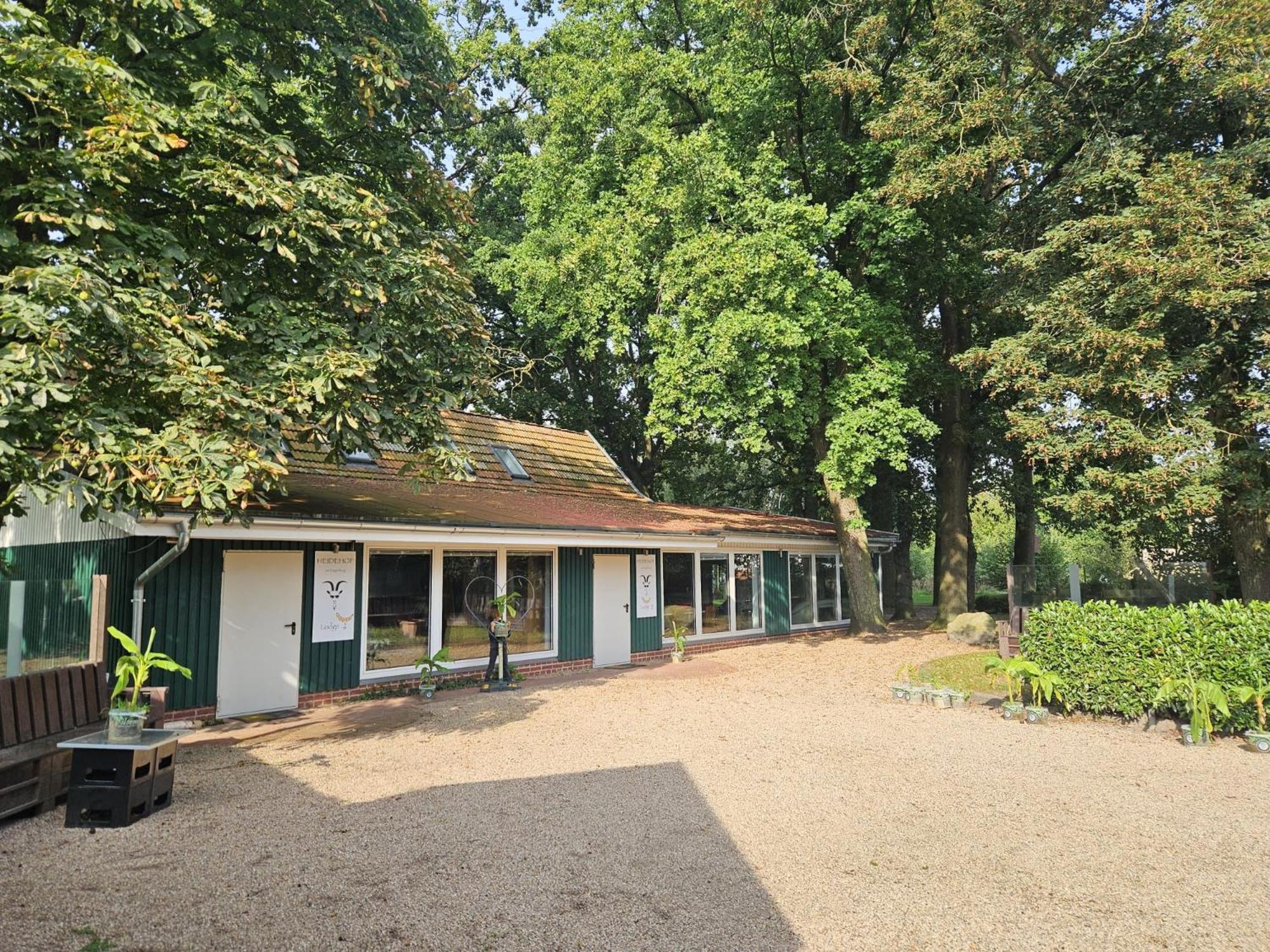 Ferienhaus Banana Lodge Bruchhausen-Vilsen Eksteriør bilde