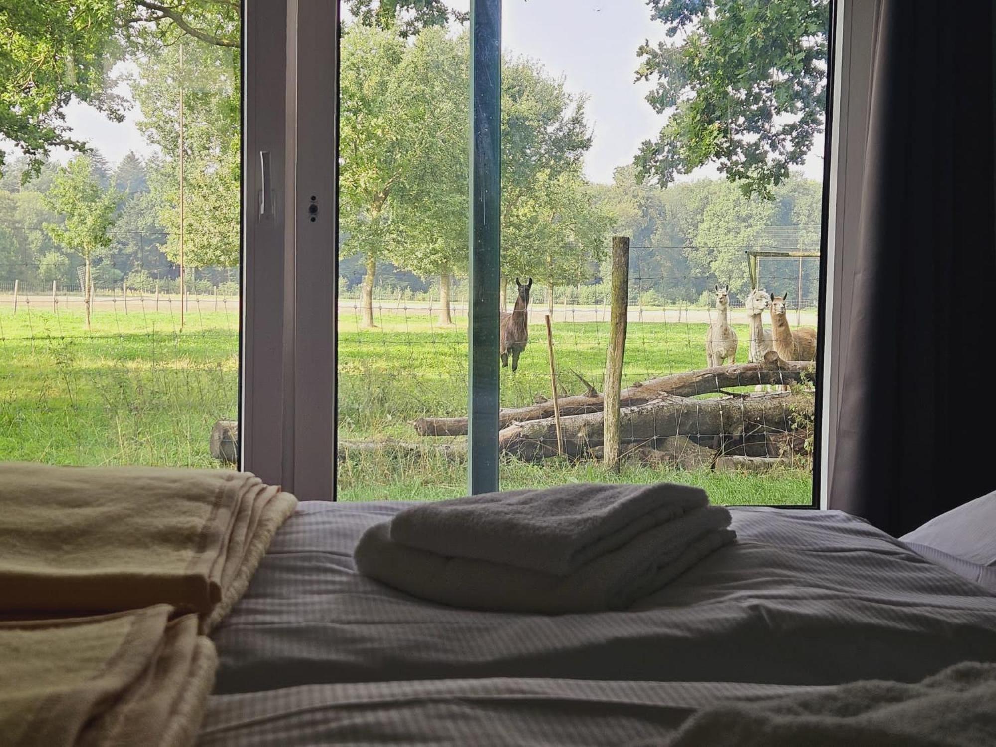 Ferienhaus Banana Lodge Bruchhausen-Vilsen Eksteriør bilde
