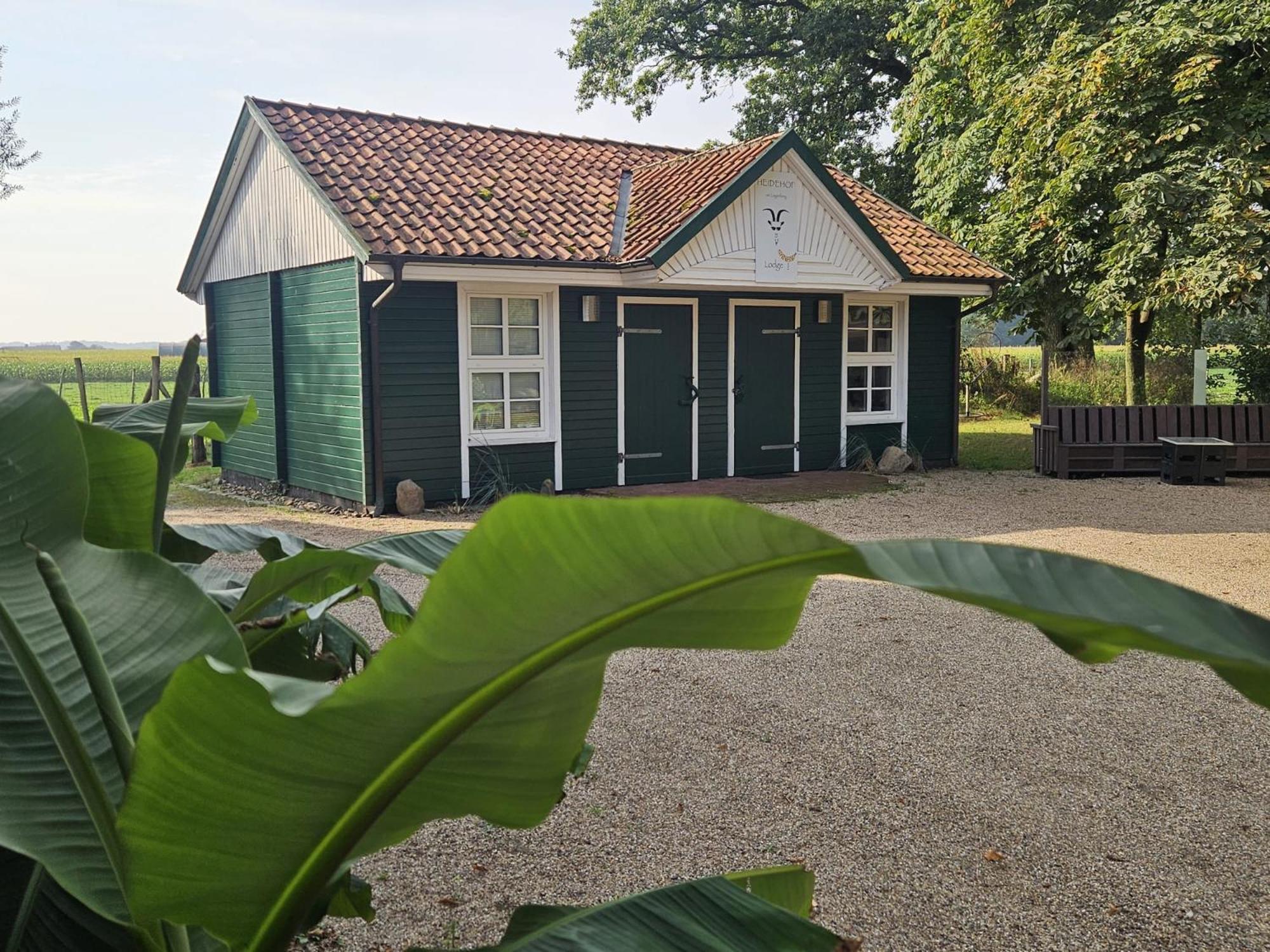 Ferienhaus Banana Lodge Bruchhausen-Vilsen Eksteriør bilde